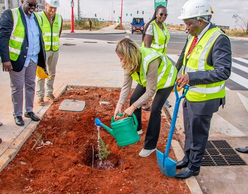 Board members planted a tree marking sustainable development