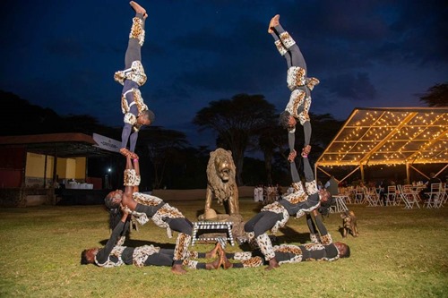 Acrobatics at the Gala Dinner